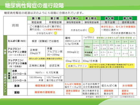 糖尿病性腎症の進行段階