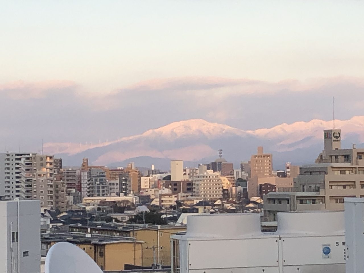 山中 伸弥 尾身 茂